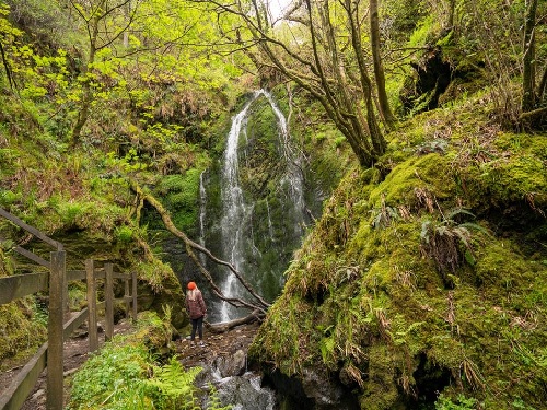 Dhoon Glen