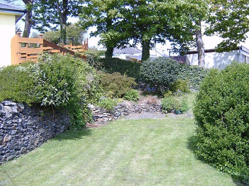 Garden From Patio